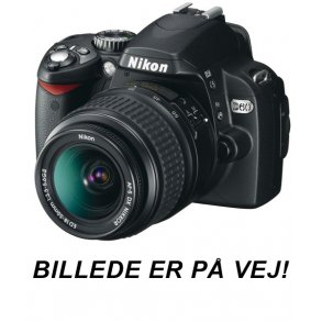 Klart visir til Cooby, Dragon & Bonito