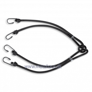 Held elastik (blksprutte)